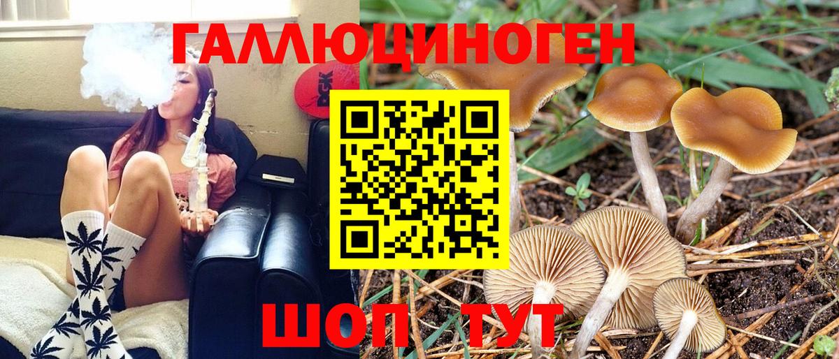 Псилоцибиновые грибы GOLDEN TEACHER  Вход с VPN  Джанкой 